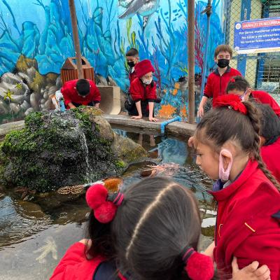 Whatsapp Image 2023 07 24 At 15.34.56