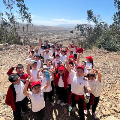 Portada Salida 3basicos