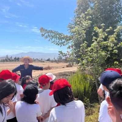 Whatsapp Image 2023 11 21 At 10.45.20