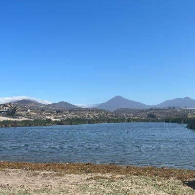 Whatsapp Image 2023 11 30 At 08.20.10 1