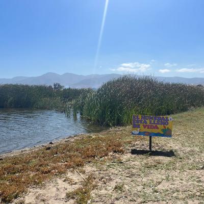 Whatsapp Image 2023 11 30 At 08.20.10 2