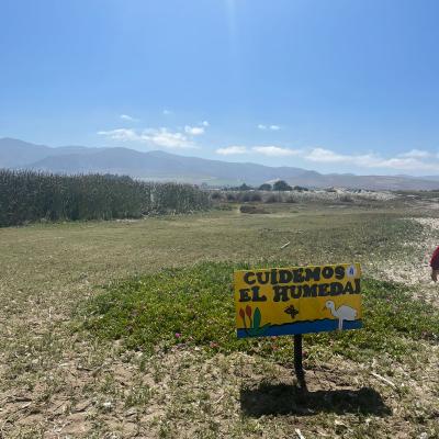 Whatsapp Image 2023 11 30 At 08.20.10