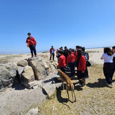 Whatsapp Image 2023 12 07 At 21.32.25 3